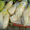 お色気野菜