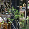WELCOME♪