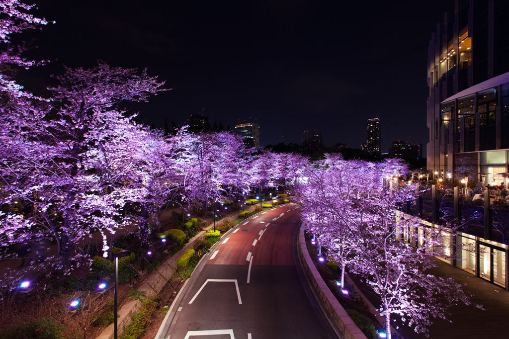 東京ミッドタウンにて2