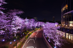 東京ミッドタウンにて2