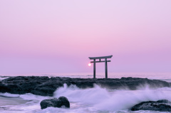 大洗磯前神社にて6