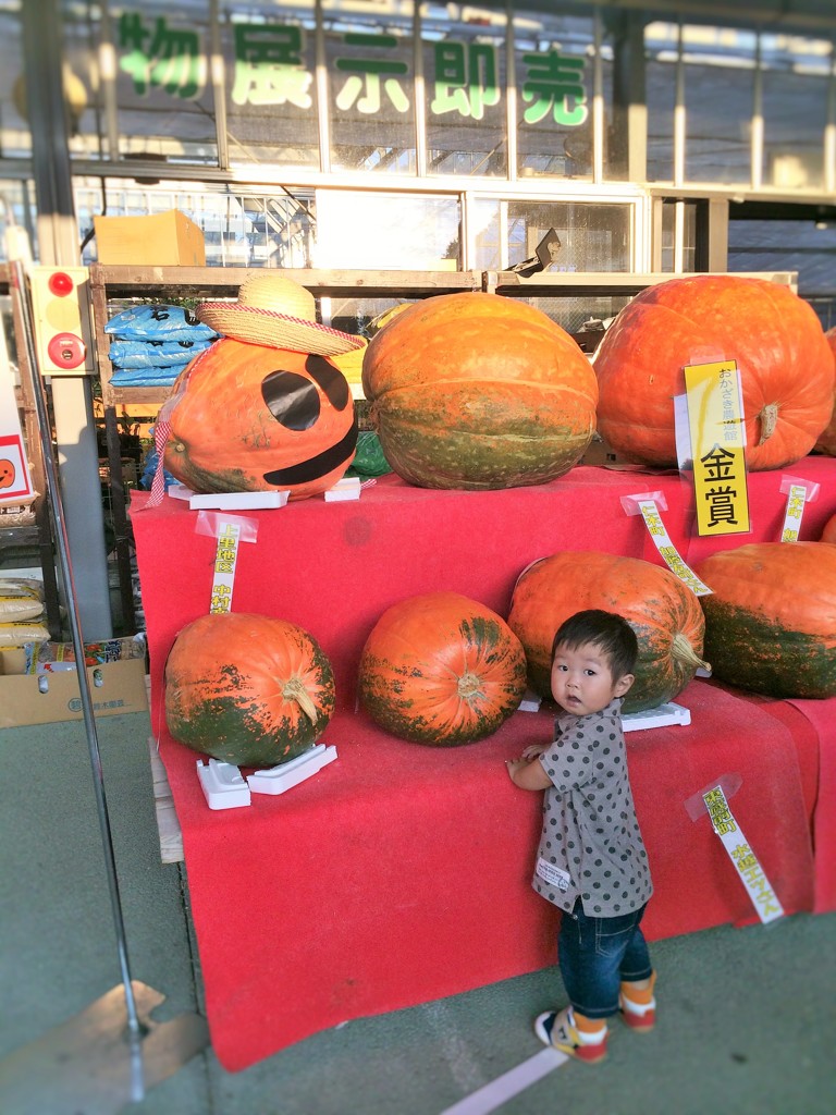 かぼちゃがいっぱい