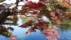 東公園