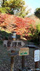 １２月の紅葉