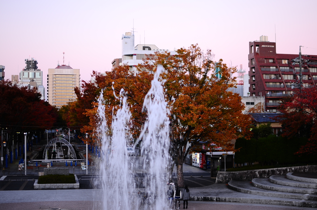 噴水と紅葉