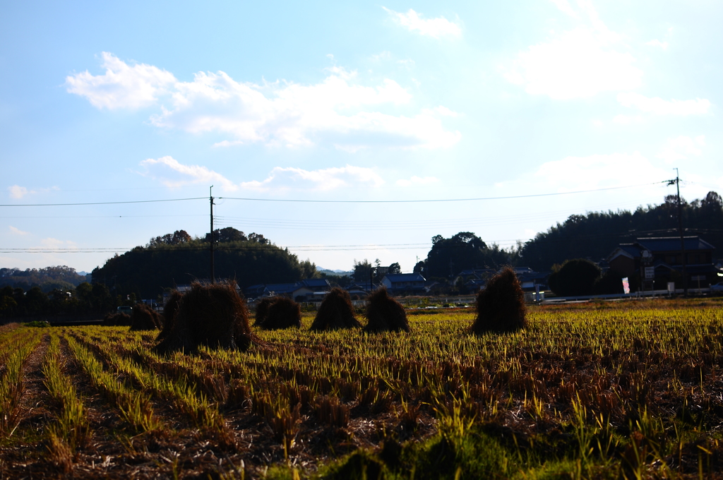 広がる田園