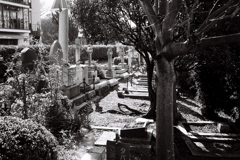 KLASSE SとFuji Neopan 400 Presto