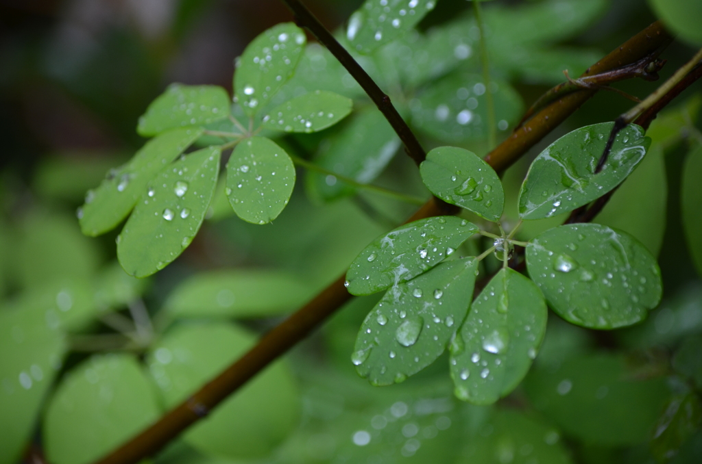 雨の中で