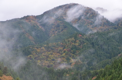 奥永源寺。