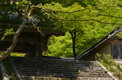 東光寺