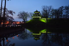 高田公園夜桜 