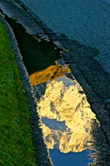 雨上がりの朝