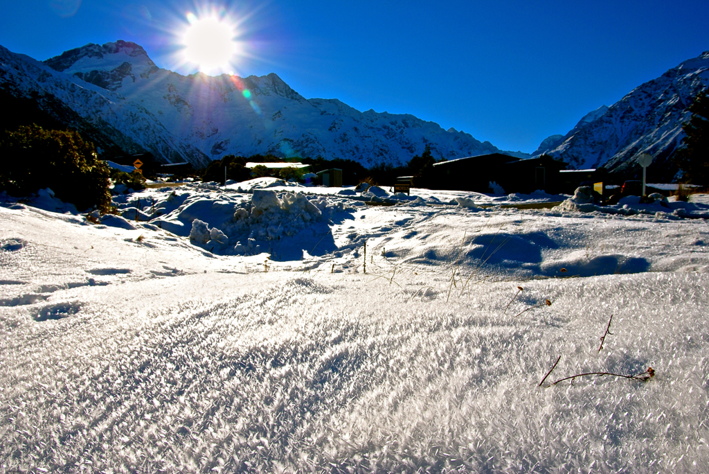 Snow Grassland