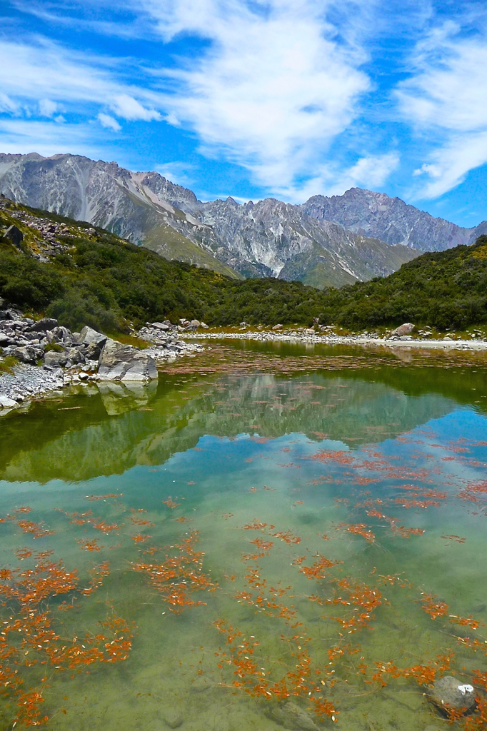 Blue Lakes in the Tasman Valley