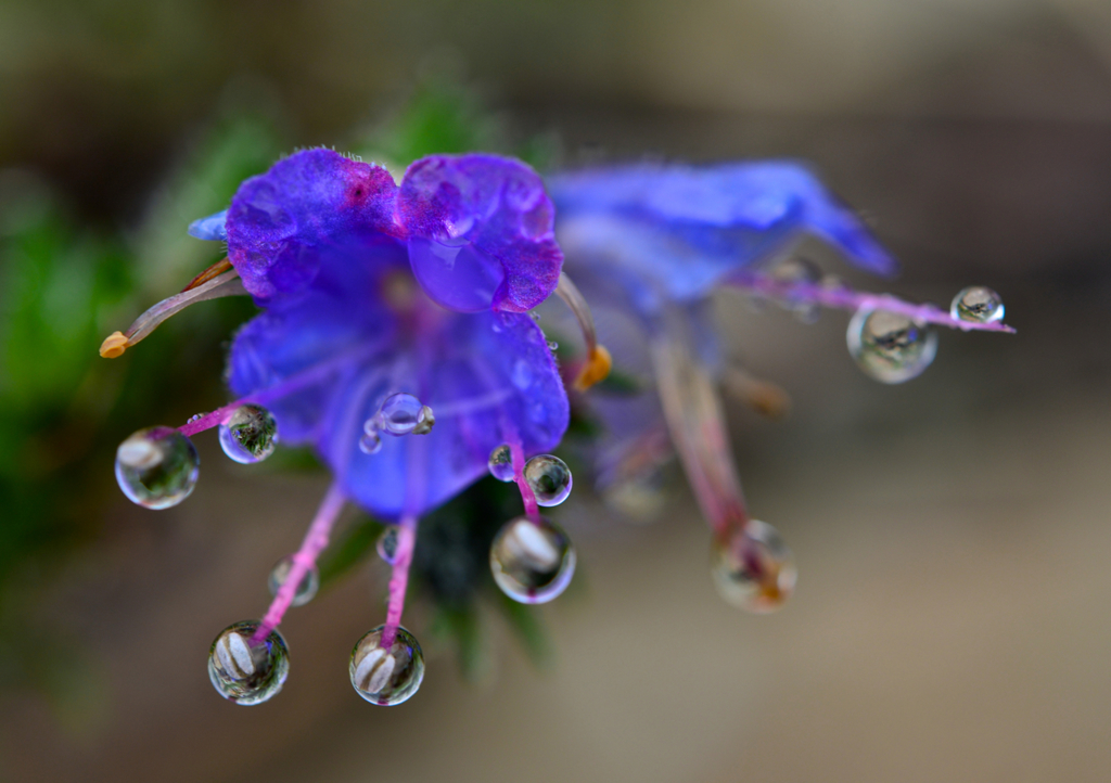 雨の日のご褒美