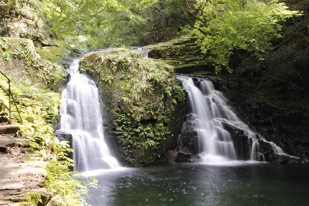 滝②