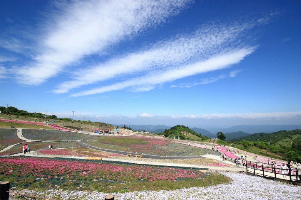 茶臼山高原(その1)