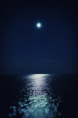 月夜の光