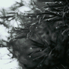 雨