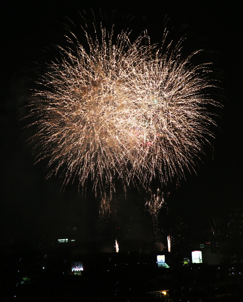 富士川サービスエリアから見えた花火(その1)