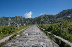 IMGP2095