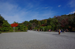 IMGP0524