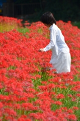 紅に囲まれ