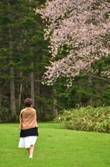 桜へ歩む