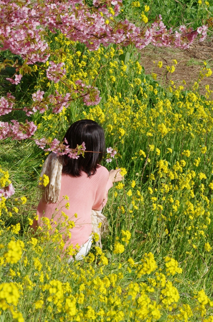 春めいて