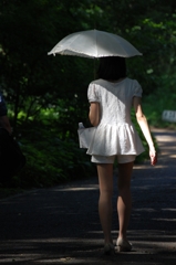 木漏れ日