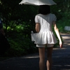木漏れ日