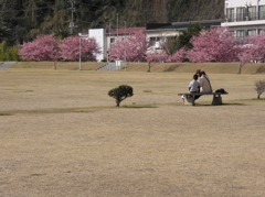 春の公園