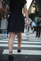 横断歩道