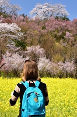 春の景色を前に