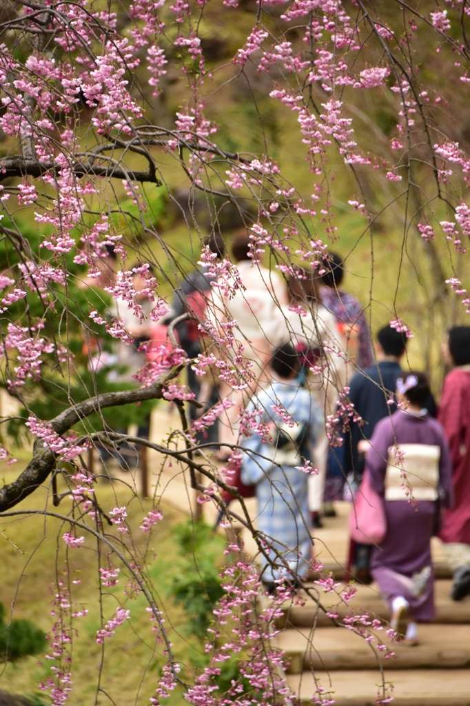 着物歩き