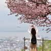 桜日和