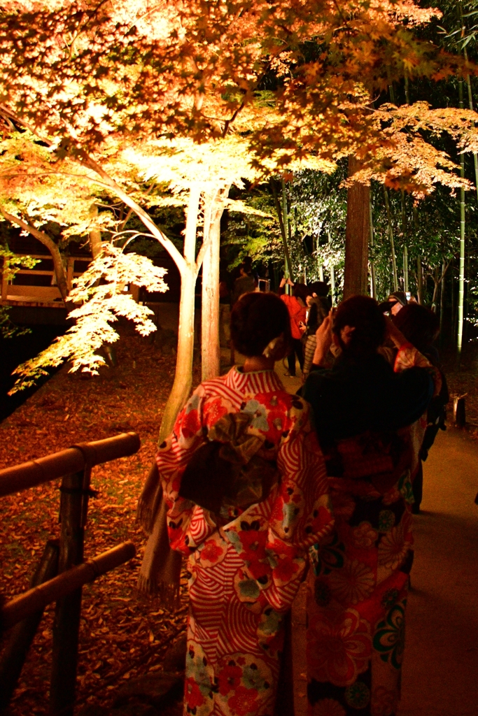 浴衣で紅葉ライトアップ