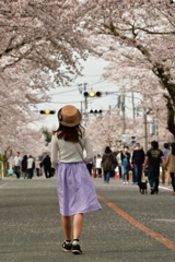 桜の歩行者天国