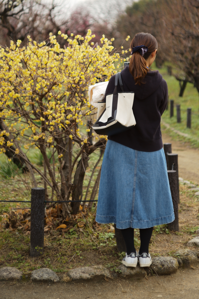 ロウバイの香りと