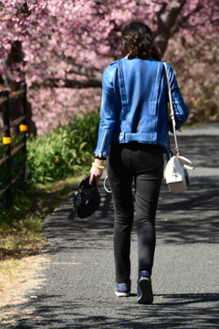 春の散歩道