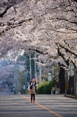 ３年ぶりの撮影