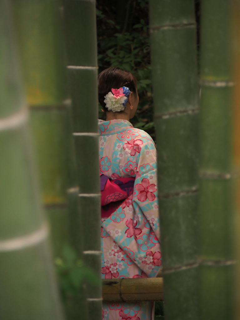 竹林の中