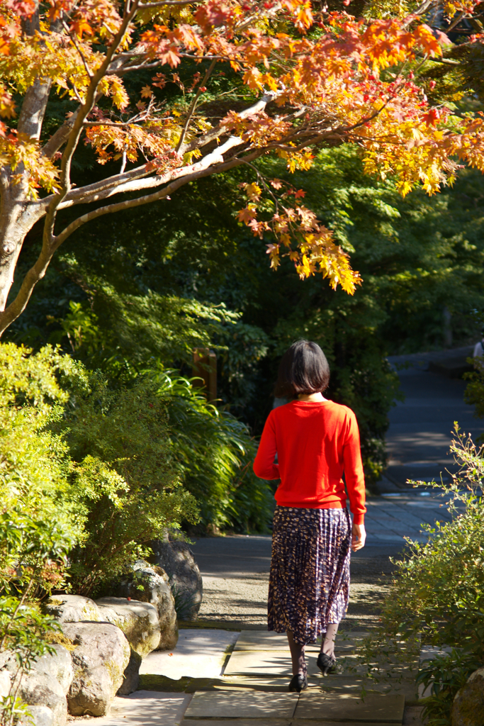 彩り
