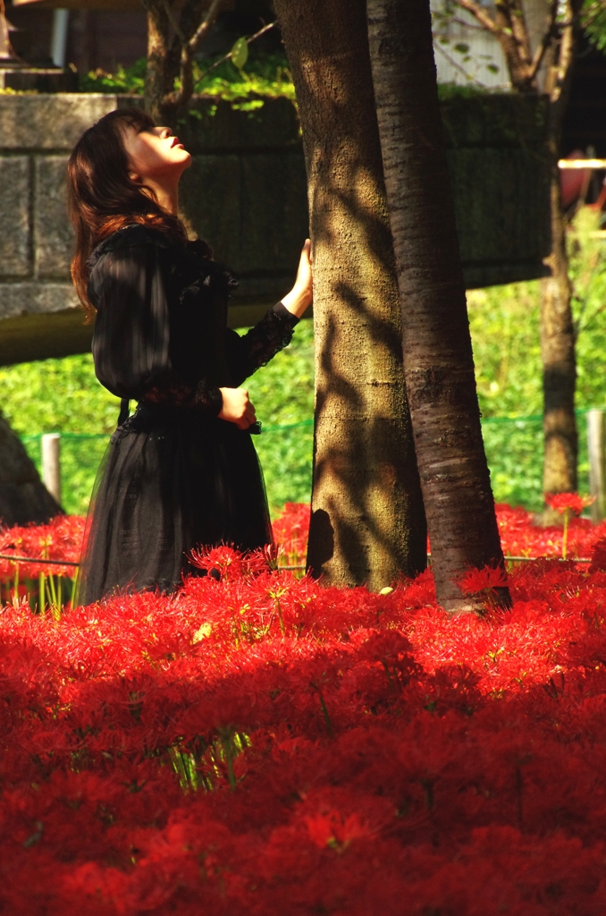 紅の足元