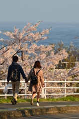 海へと続く坂道を