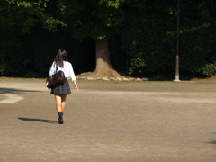 右か左か