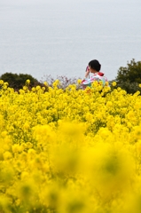 菜の花畑で