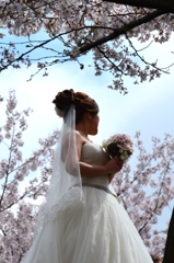 花に花嫁