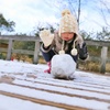 雪がうれしい