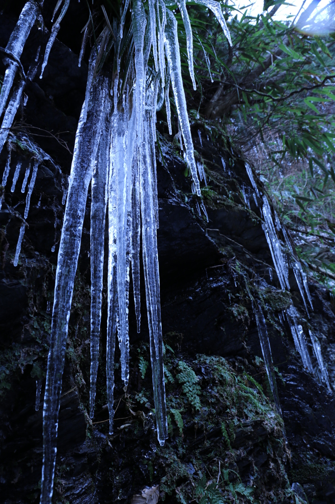 氷柱